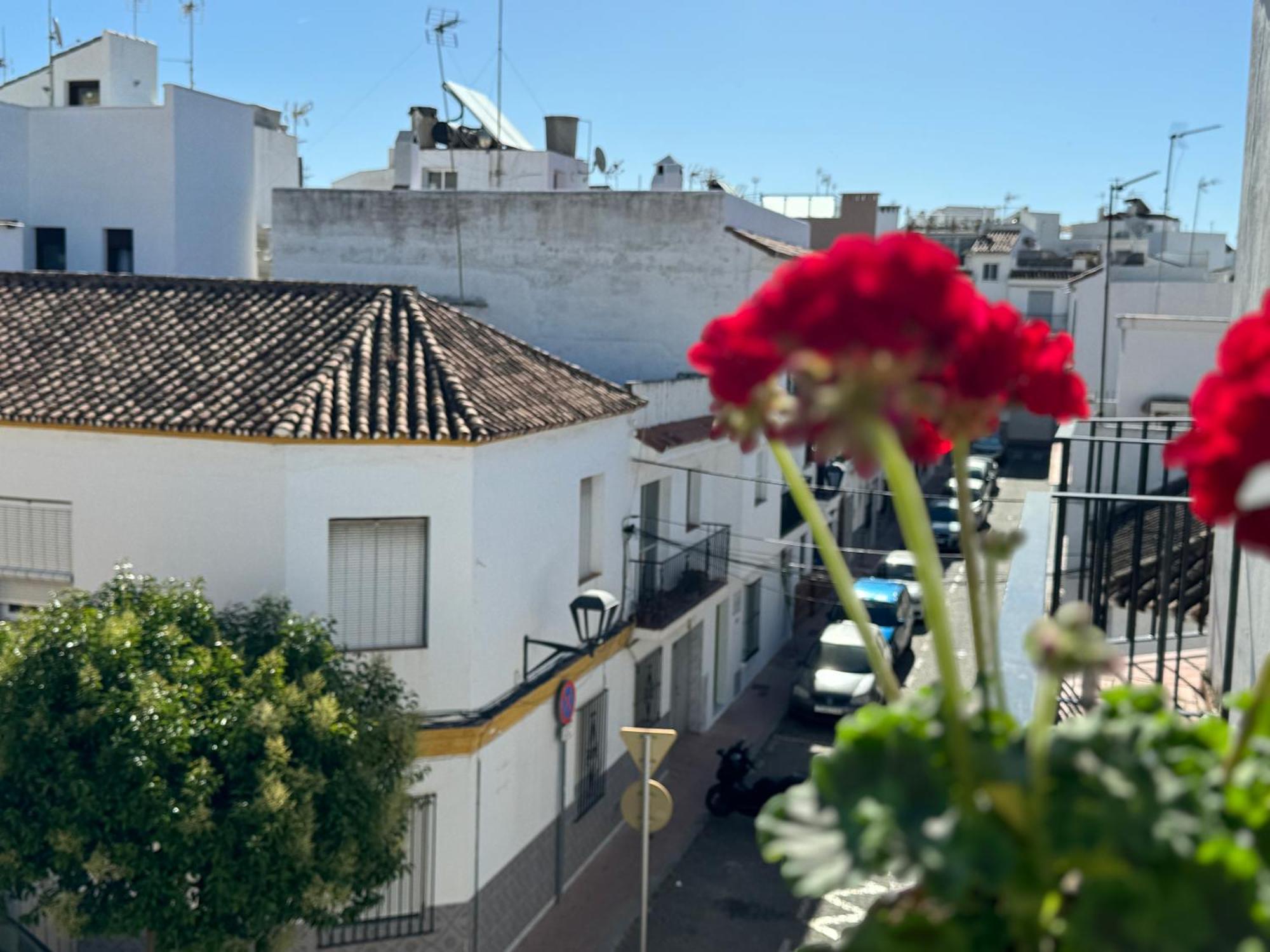Encantadora Casa En El Corazon De אסטפונה מראה חיצוני תמונה