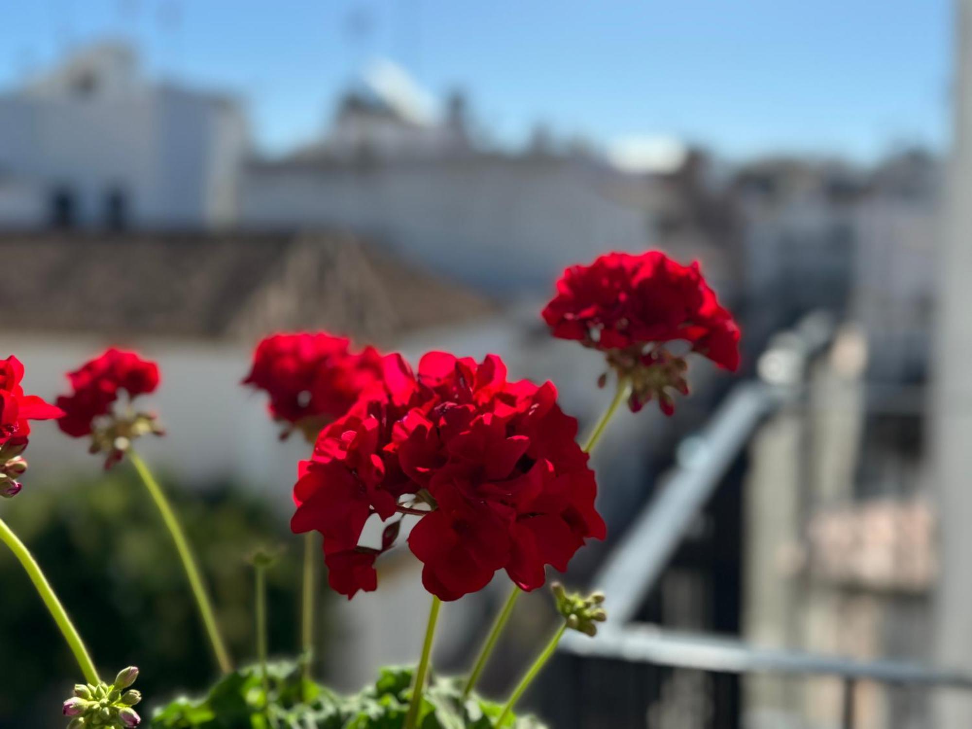 Encantadora Casa En El Corazon De אסטפונה מראה חיצוני תמונה