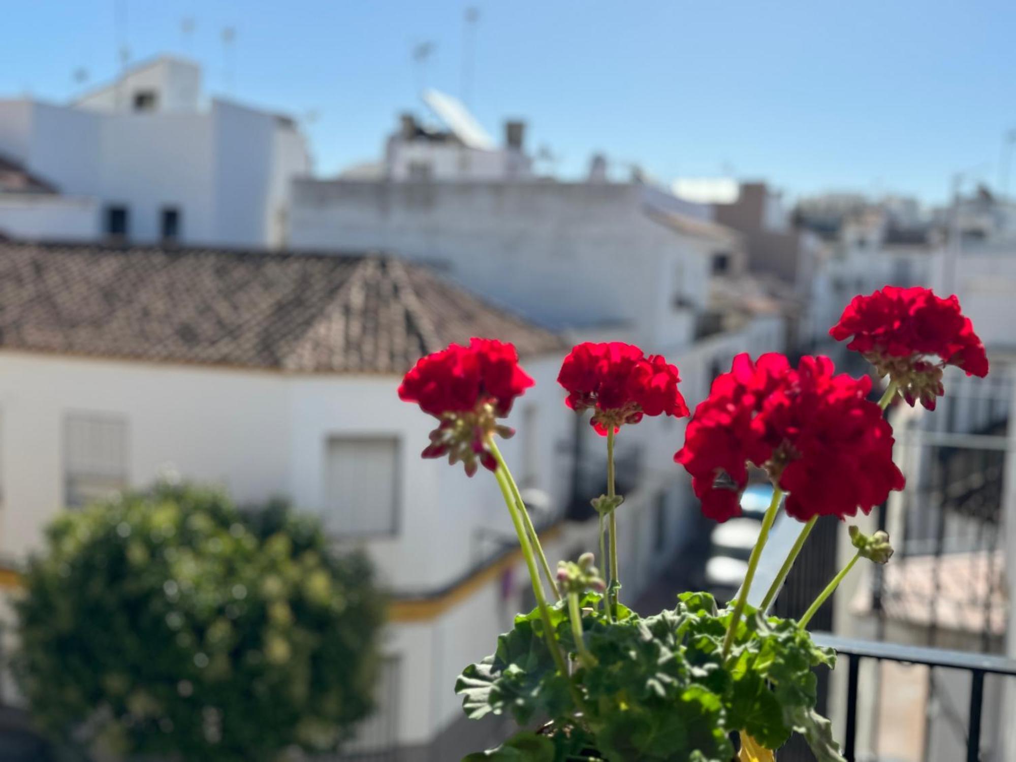 Encantadora Casa En El Corazon De אסטפונה מראה חיצוני תמונה